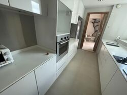 Park Infinia At Wee Nam (D11), Condominium #588793771